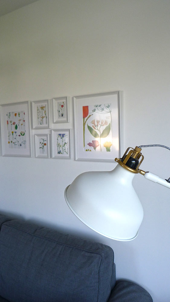 Planches de botanique en décor et lampe, le tout provenat de chez Ikéa